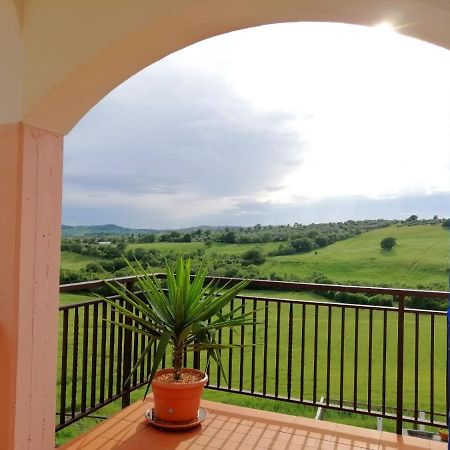 Agriturismo Podere Verdicchio 스칸사노 외부 사진