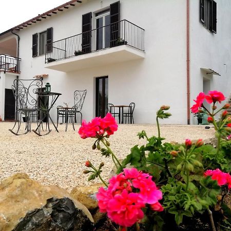 Agriturismo Podere Verdicchio 스칸사노 외부 사진