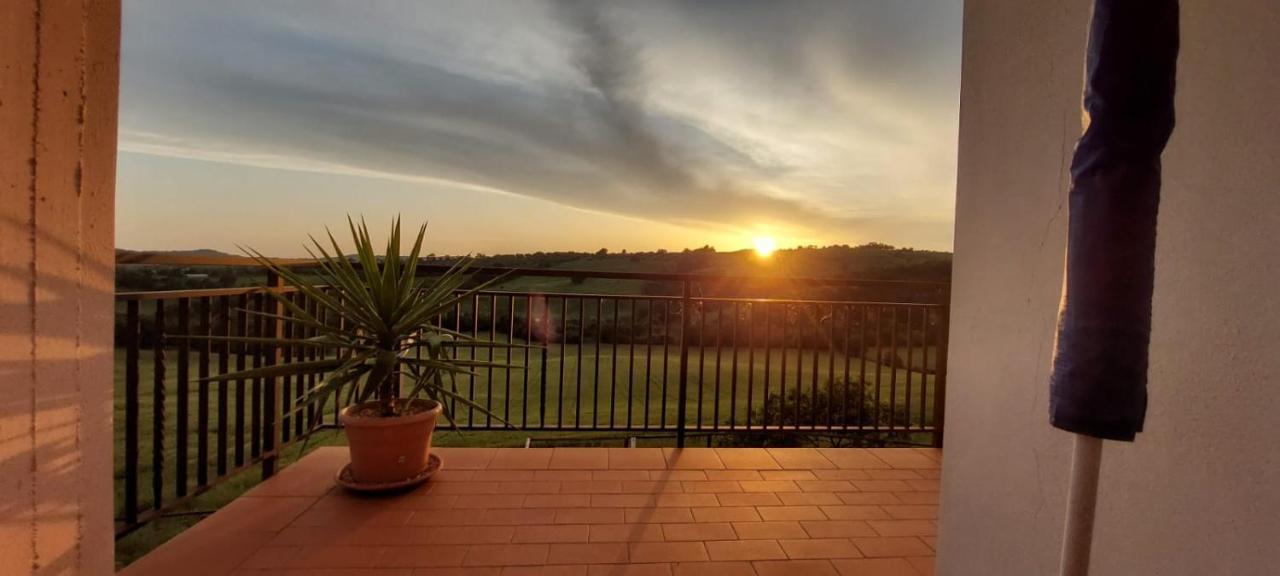 Agriturismo Podere Verdicchio 스칸사노 외부 사진