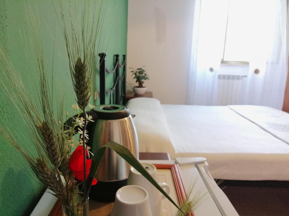 Agriturismo Podere Verdicchio 스칸사노 외부 사진